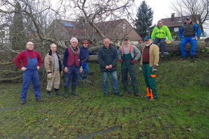 Die Räumtruppe vor dem Baum